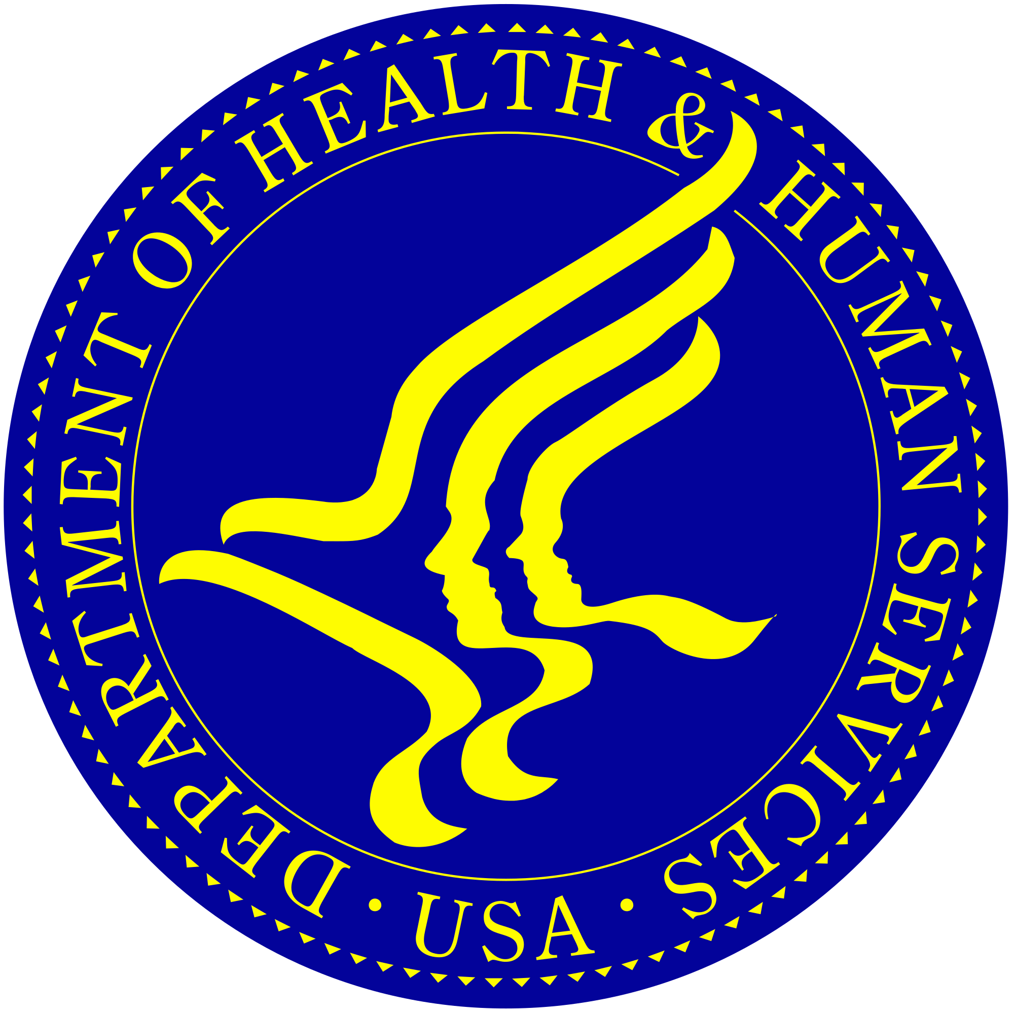 IT SUPPORT SERVICES – HHS